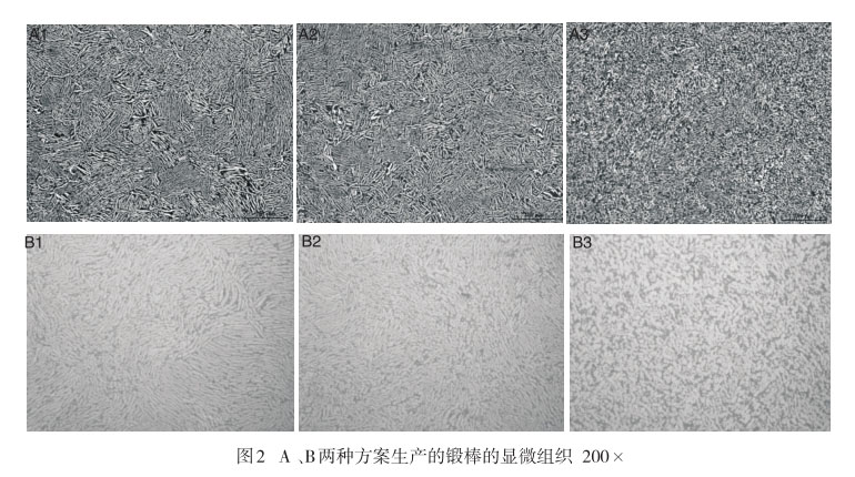 A 、B兩種方案生產(chǎn)的鍛棒的顯微組織